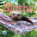 Original Sloths 2027 Mini Wall Calendar