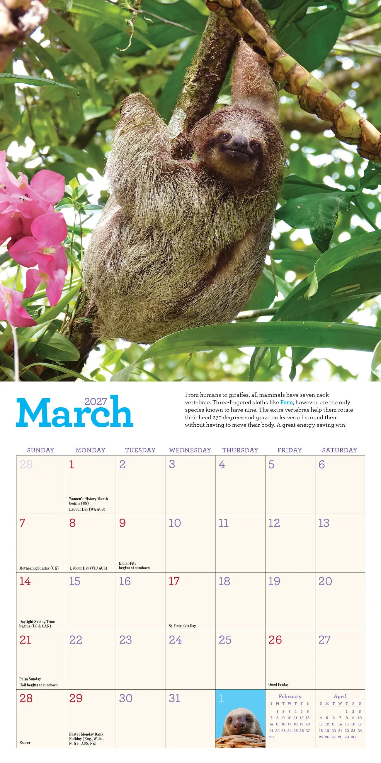 Original Sloths 2027 Mini Wall Calendar