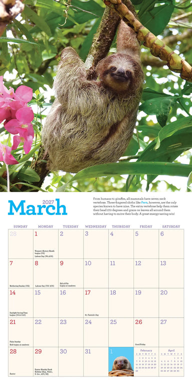 Original Sloths 2027 Mini Wall Calendar