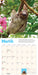 Original Sloths 2027 Mini Wall Calendar