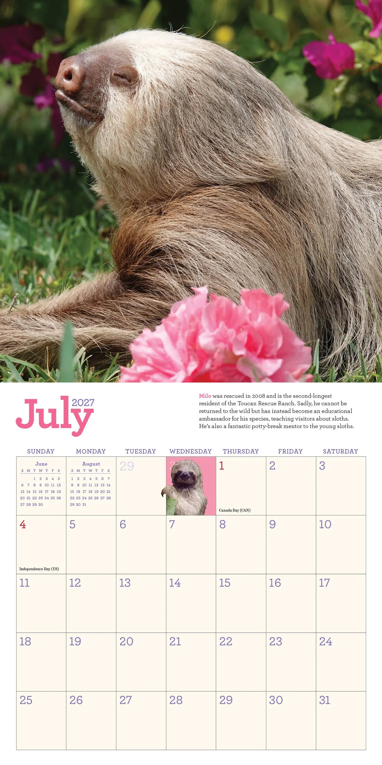 Original Sloths 2027 Mini Wall Calendar