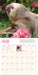 Original Sloths 2027 Mini Wall Calendar