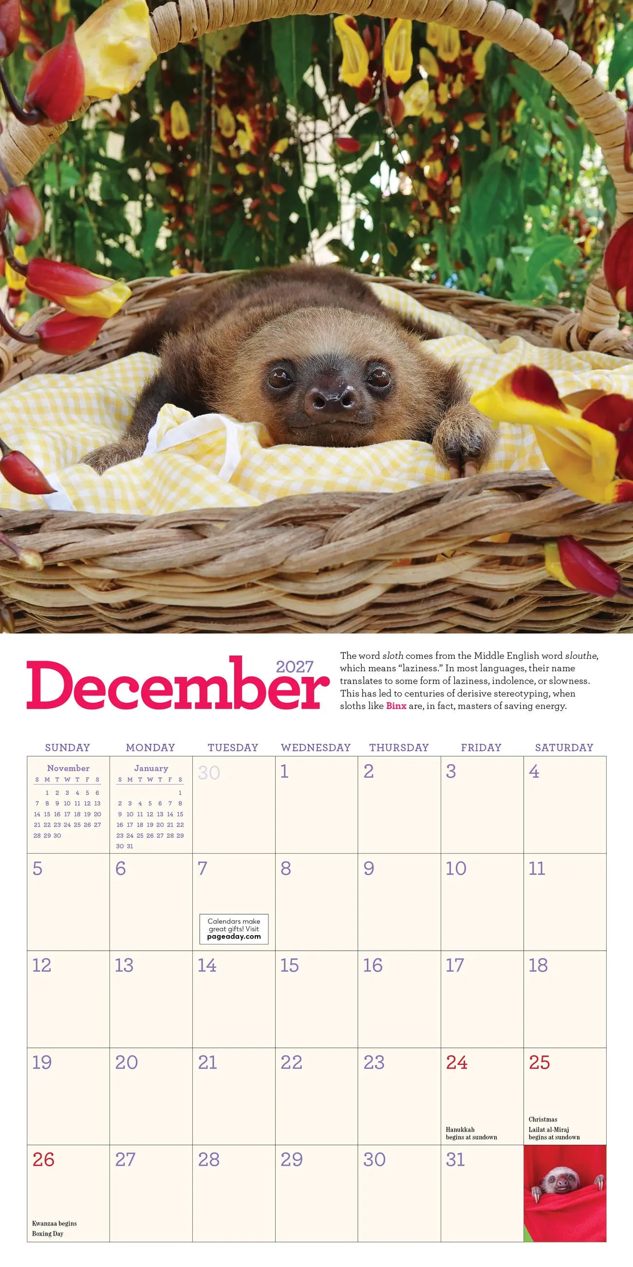 Original Sloths 2027 Mini Wall Calendar