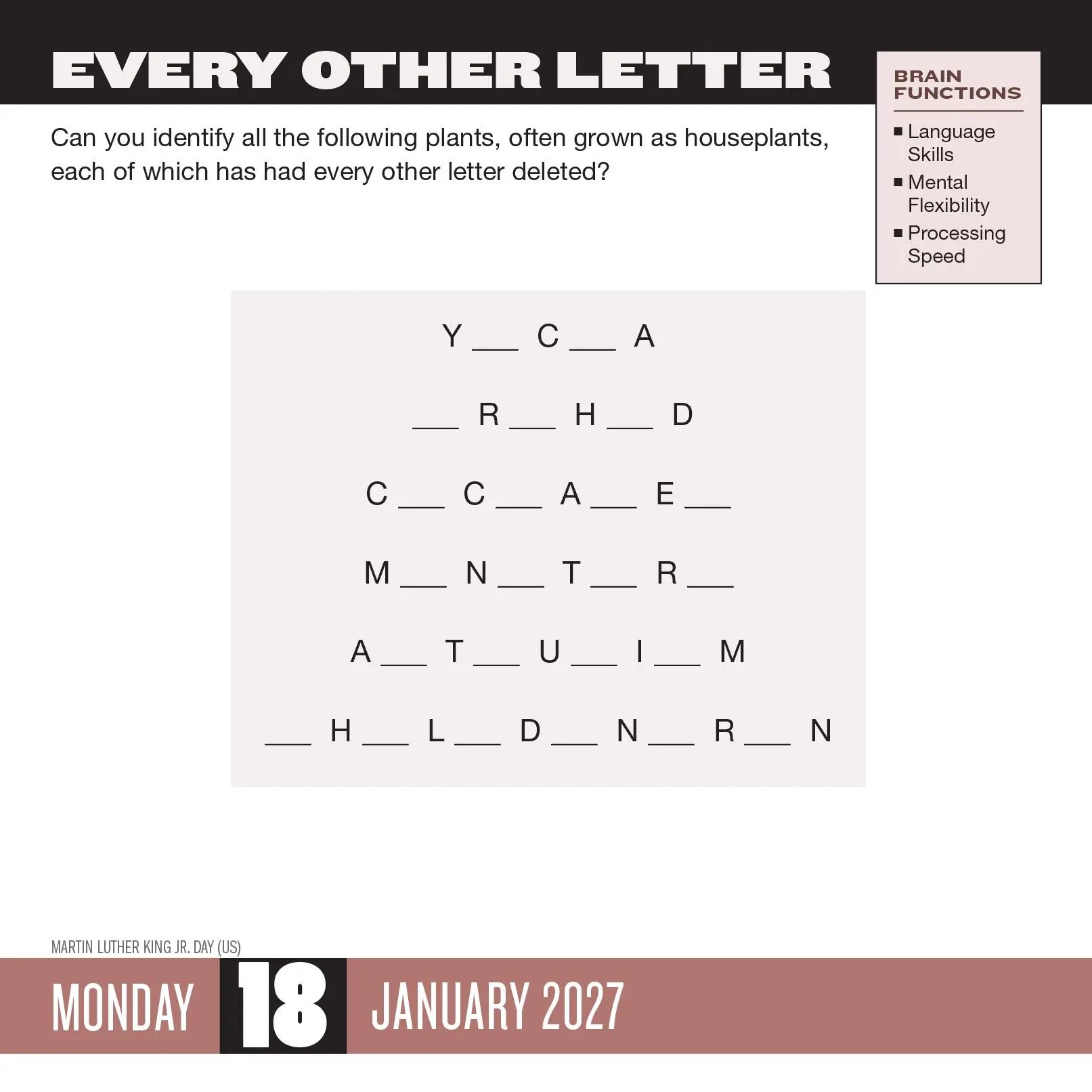 WRK Brainpower Puzzles 2027 Page-A-Day® Calendar