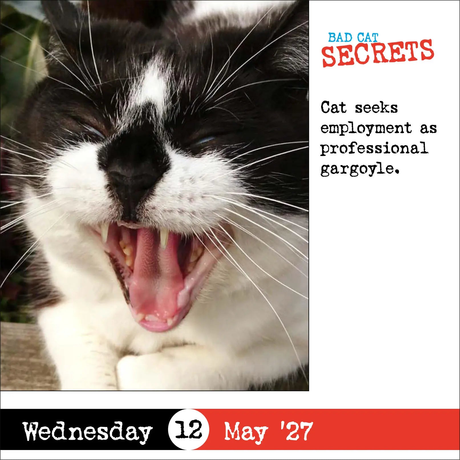 WRK Bad Cat 2027 Page-A-Day® Calendar