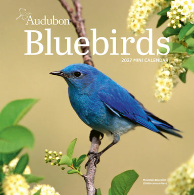 Audubon Bluebirds 2027 Mini Wall Calendar