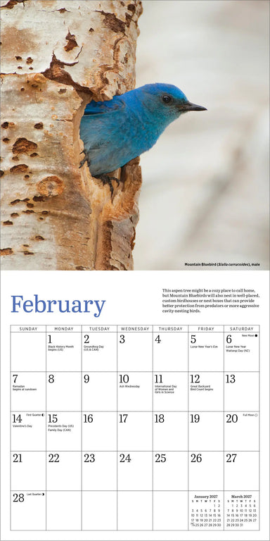Audubon Bluebirds 2027 Mini Wall Calendar