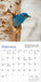 WRK Audubon Bluebirds 2027 Mini Wall Calendar