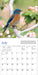 WRK Audubon Bluebirds 2027 Mini Wall Calendar