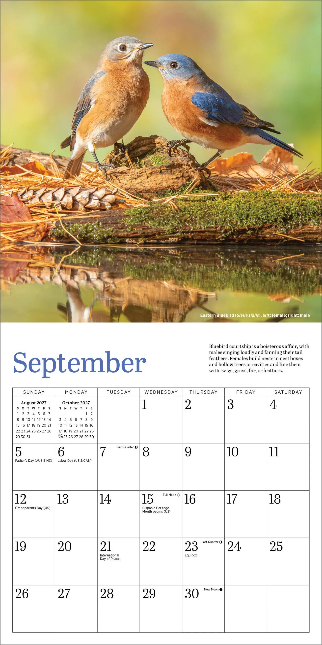 WRK Audubon Bluebirds 2027 Mini Wall Calendar