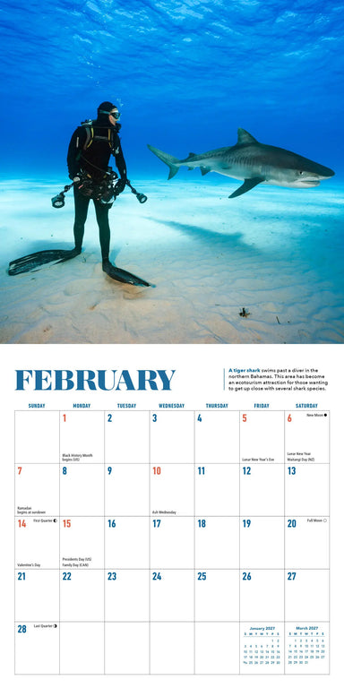 Shark 2027 Mini Wall Calendar