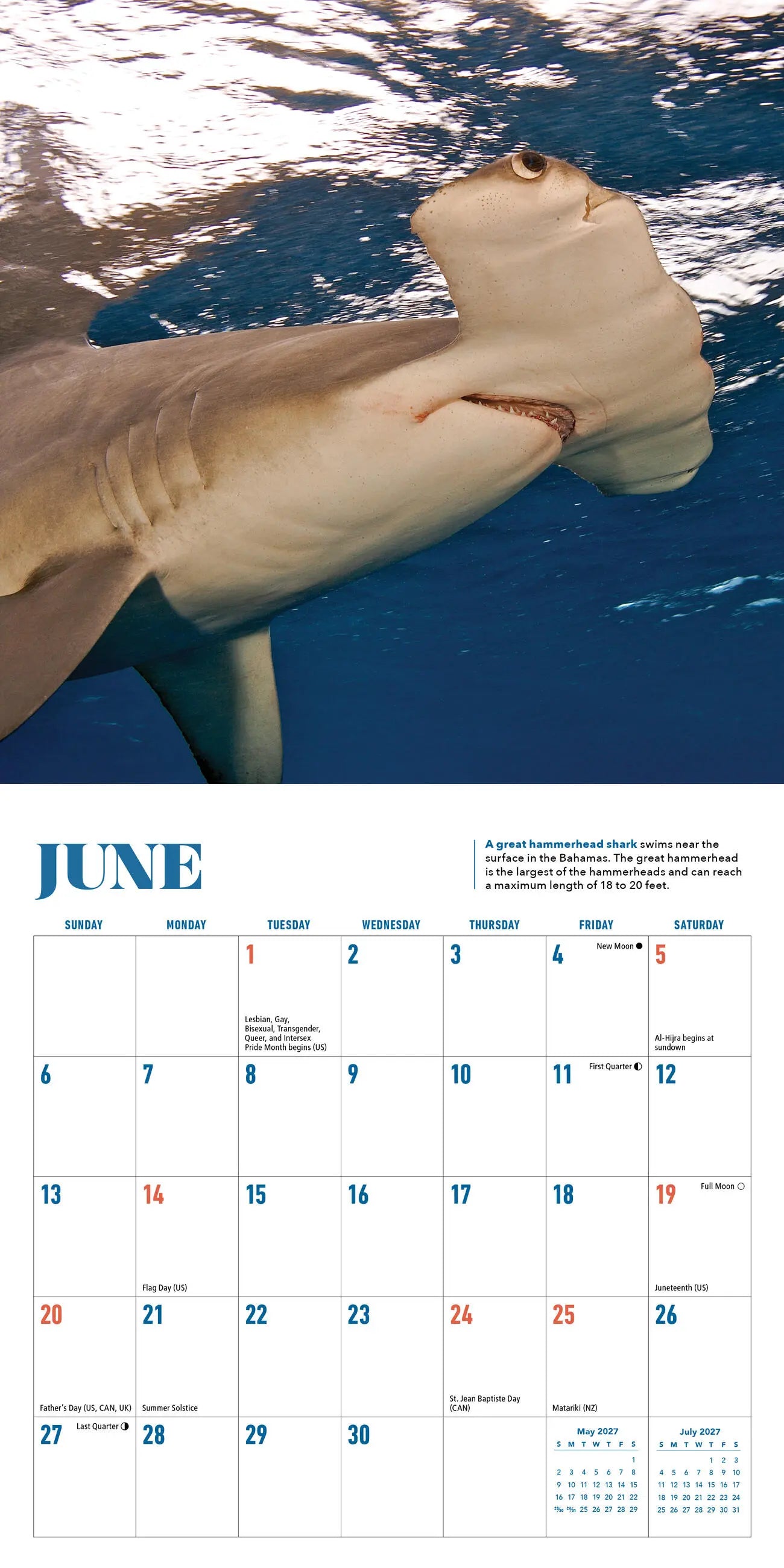 WRK Shark 2027 Mini Wall Calendar