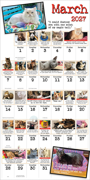 Bad Cat 2027 Wall Calendar