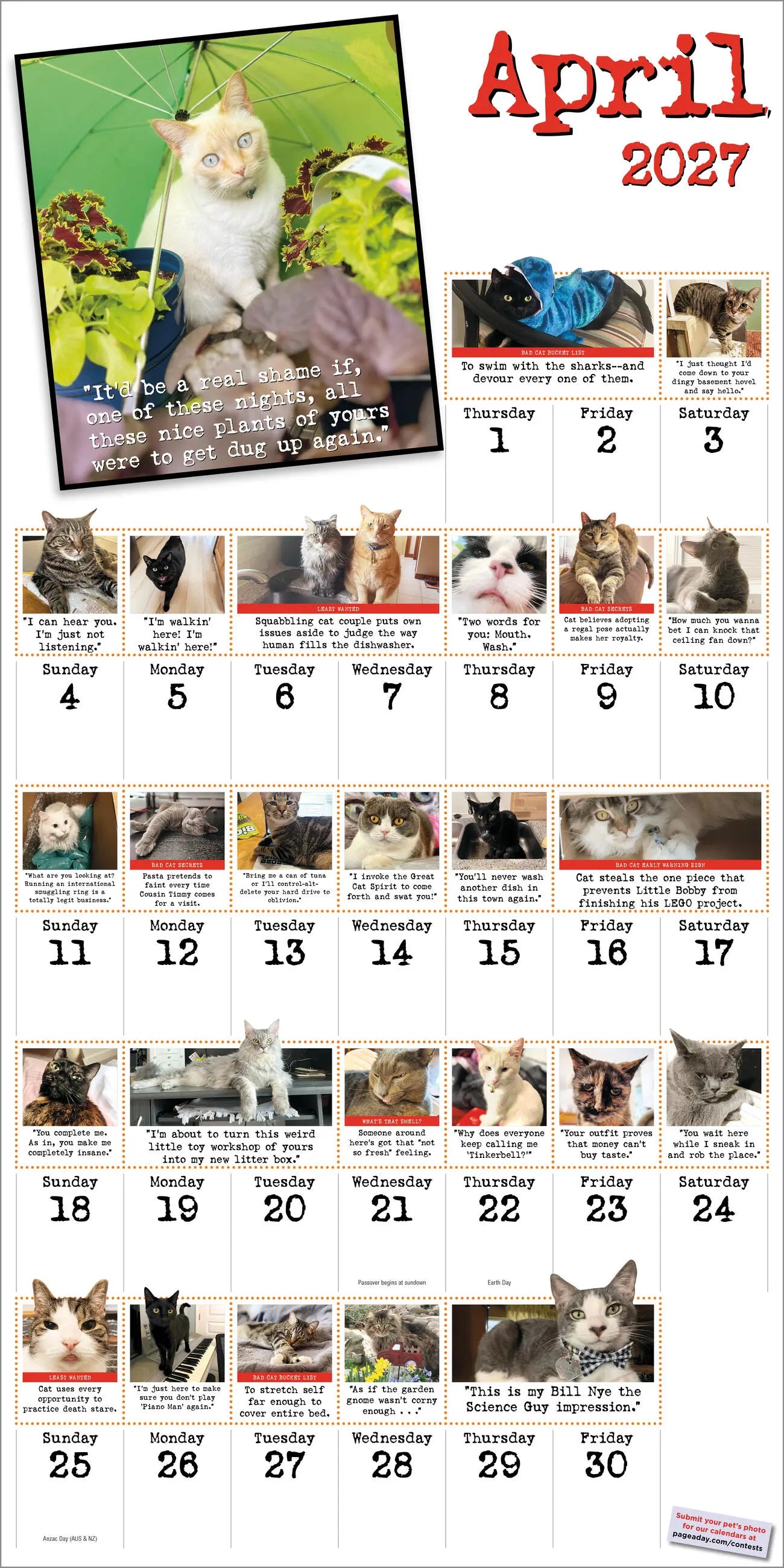 Bad Cat 2027 Wall Calendar