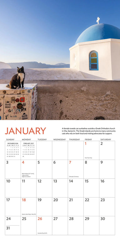 Cats of the World 2027 Wall Calendar