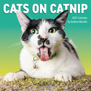 Cats on Catnip 2027 Wall Calendar