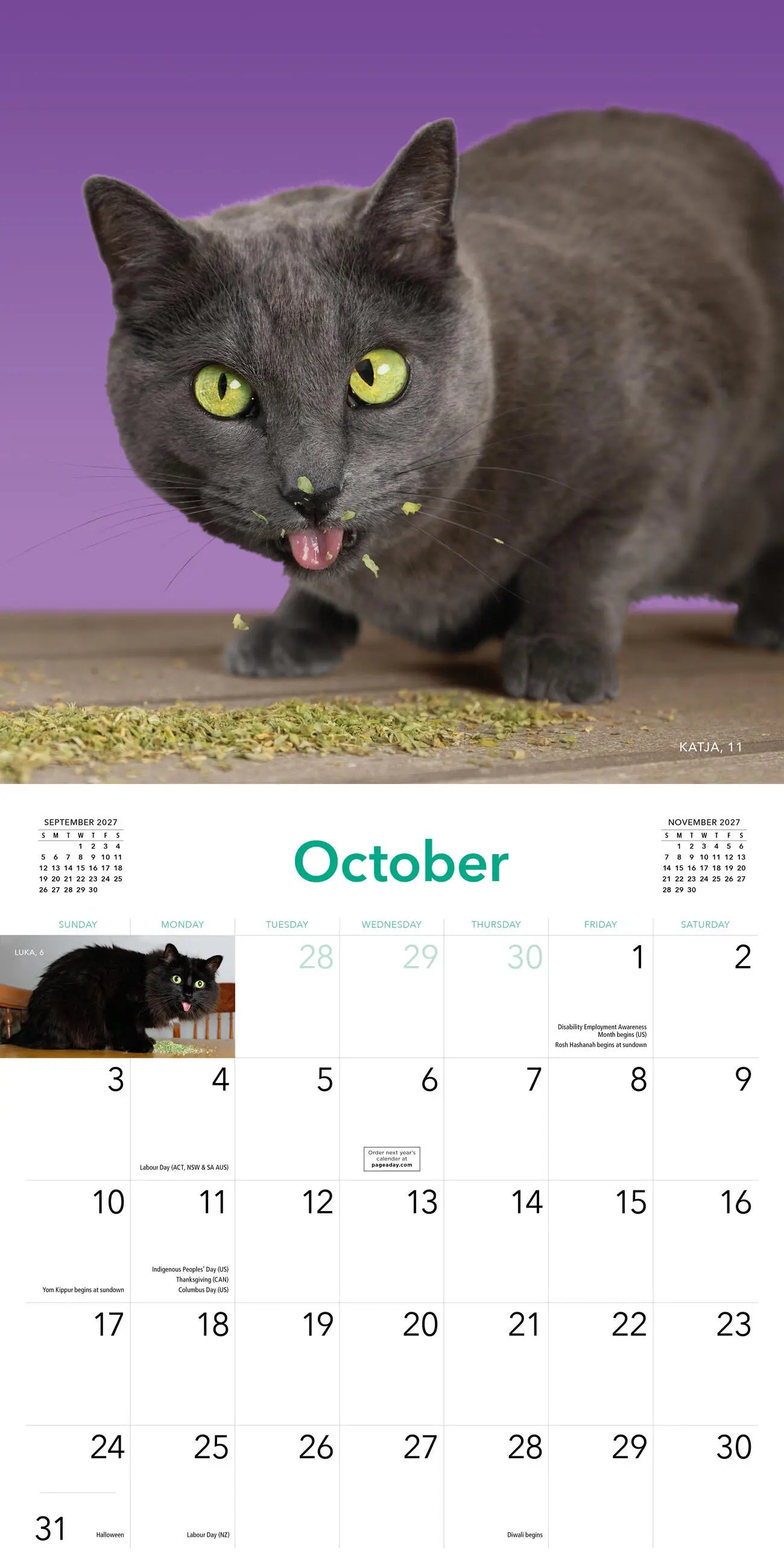 Cats on Catnip 2027 Wall Calendar