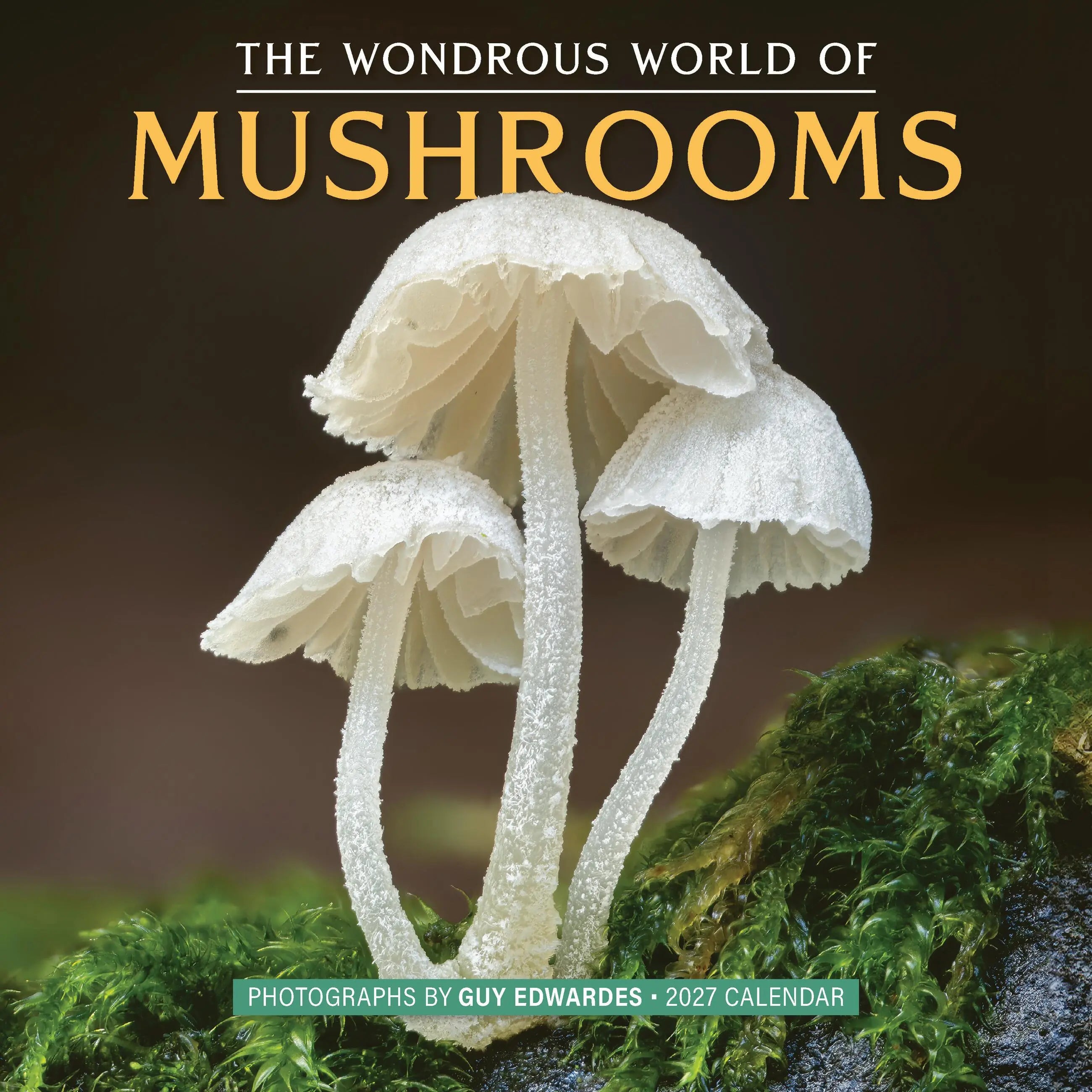 The Wondrous World of Mushrooms 2027 Wall Calendar