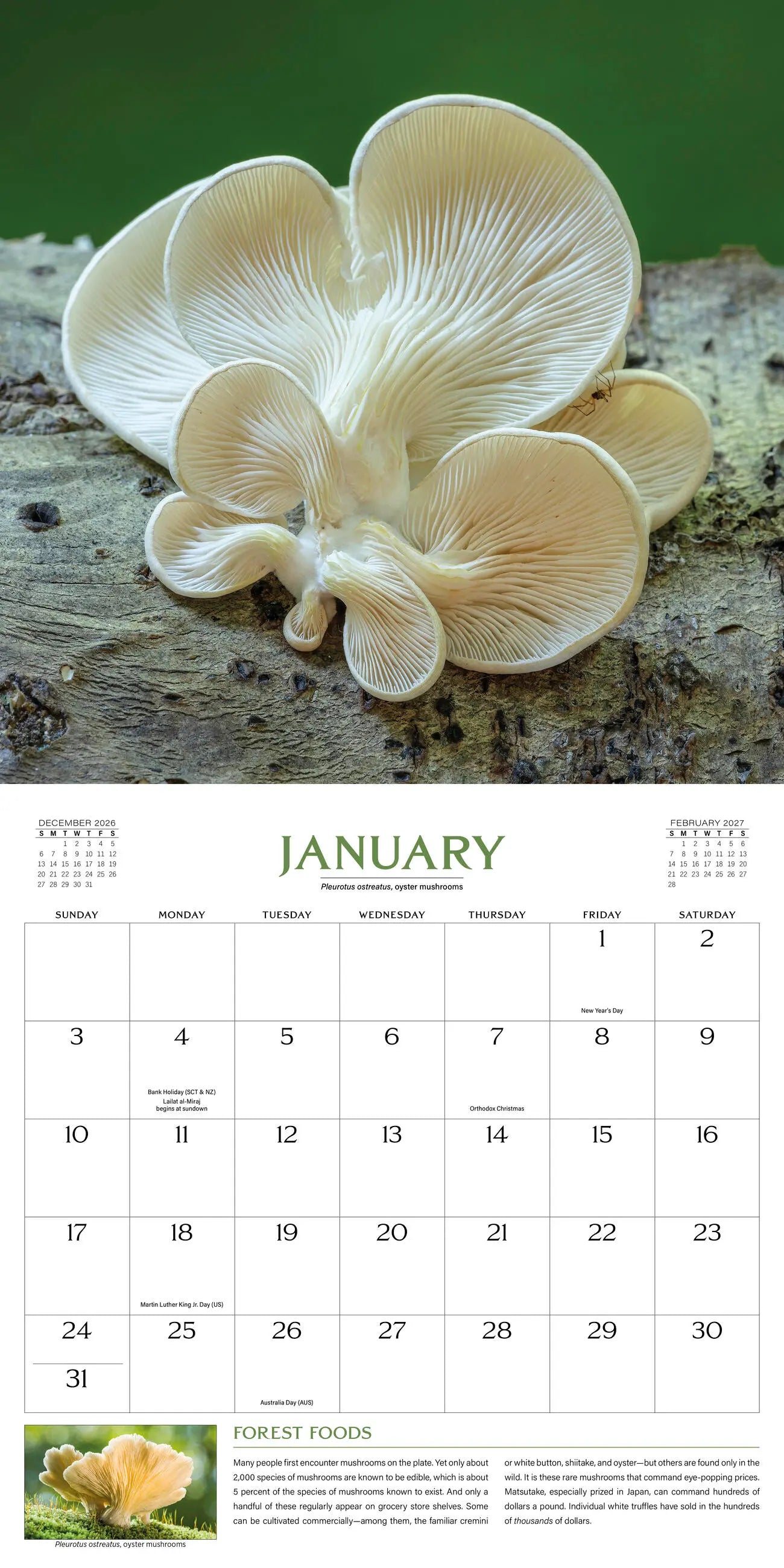 The Wondrous World of Mushrooms 2027 Wall Calendar