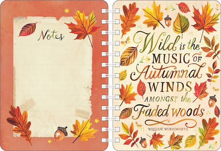 Katie Daisy Where Love Grows 2027 Weekly Planner Calendar