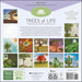Trees of Life 2027 Wall Calendar