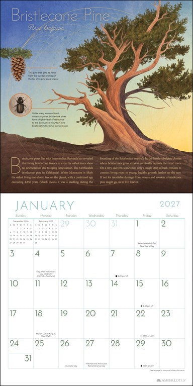 Trees of Life 2027 Wall Calendar