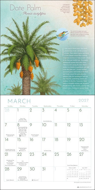 Trees of Life 2027 Wall Calendar