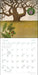 Trees of Life 2027 Wall Calendar