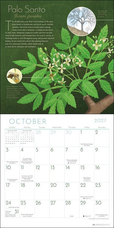 Trees of Life 2027 Wall Calendar