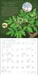 Trees of Life 2027 Wall Calendar