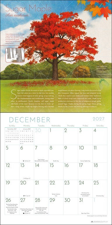Trees of Life 2027 Wall Calendar