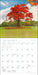Trees of Life 2027 Wall Calendar