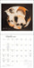 The Artful Cat 2027 Wall Calendar