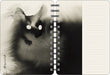 The Artful Cat 2027 Weekly Planner Calendar