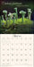 The Miraculous Mushroom 2027 Wall Calendar