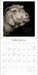 I Am Goat 2027 Wall Calendar