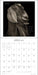 I Am Goat 2027 Wall Calendar