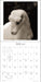 I Am Goat 2027 Wall Calendar