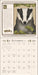Woodland Wardens 2027 Wall Calendar