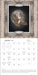Ornithography 2027 Wall Calendar