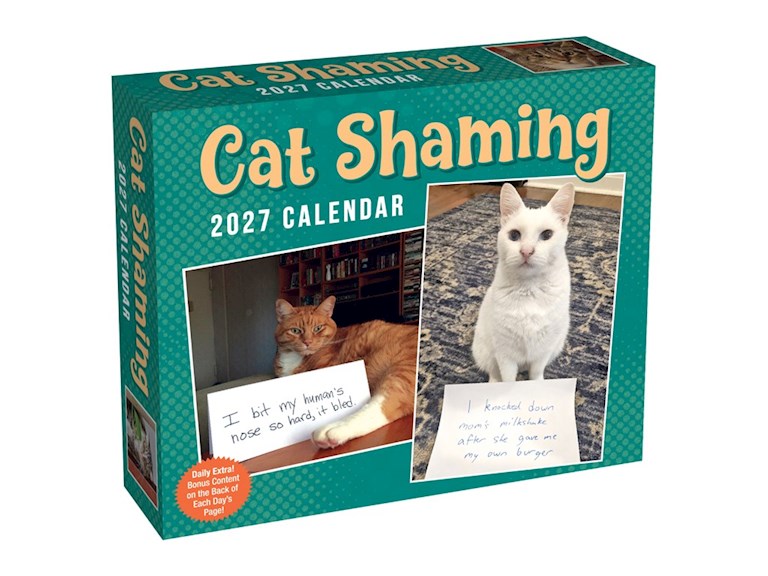 AMC Cat Shaming 2027 Day-to-Day Calendar
