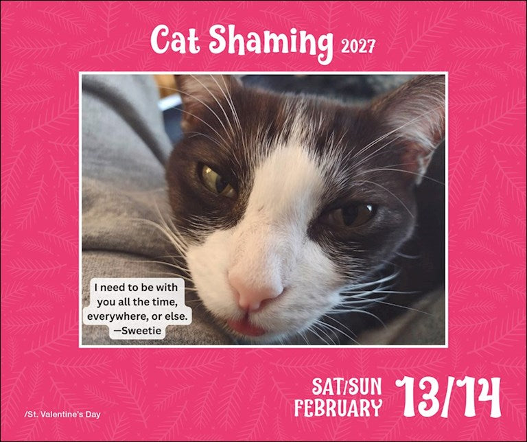 AMC Cat Shaming 2027 Day-to-Day Calendar