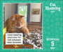 AMC Cat Shaming 2027 Day-to-Day Calendar