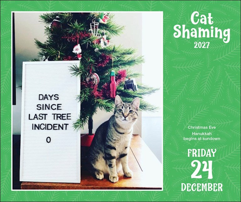 AMC Cat Shaming 2027 Day-to-Day Calendar
