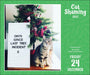 AMC Cat Shaming 2027 Day-to-Day Calendar