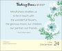 Thich Nhat Hanh Touching Peace 2027 Page-A-Day Calendar