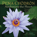 Pema Chödrön Awakening The Heart 2027 Wall Calendar