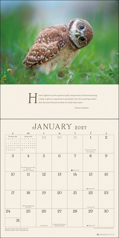Pema Chödrön Awakening The Heart 2027 Wall Calendar