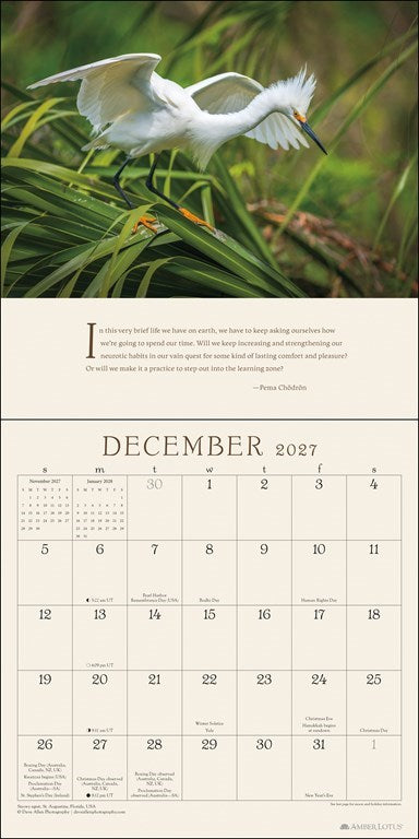 Pema Chödrön Awakening The Heart 2027 Wall Calendar