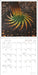 Sculpt the World 2027 Wall Calendar